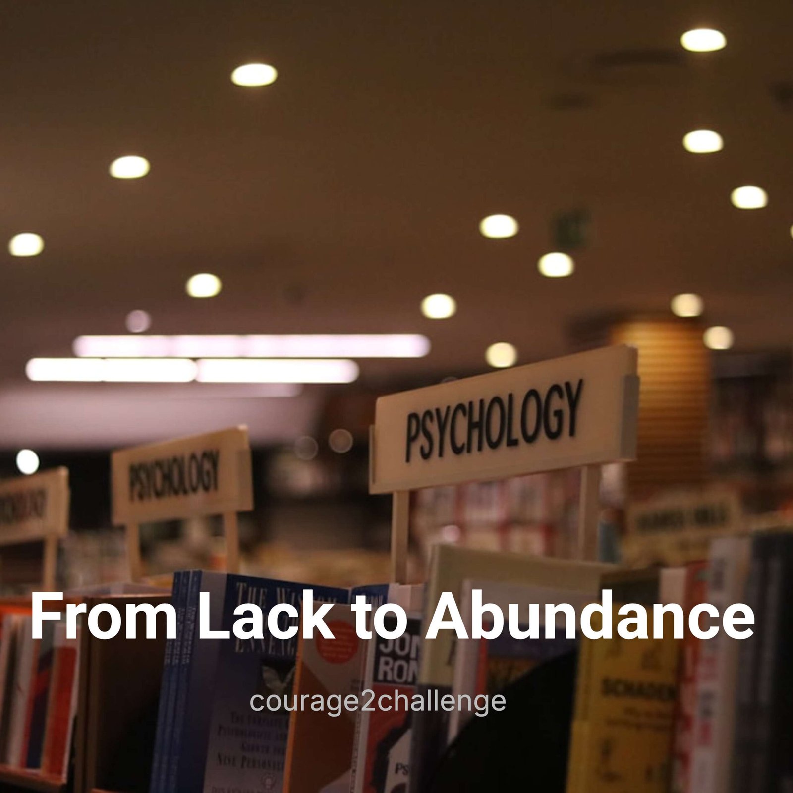 BREAK FREE From Lack to ABUNDANCE Mindset!